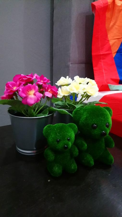 Jb Homestay Bukit Indah Wifi Ciq Mall Legoland Free Parking 新山 外观 照片
