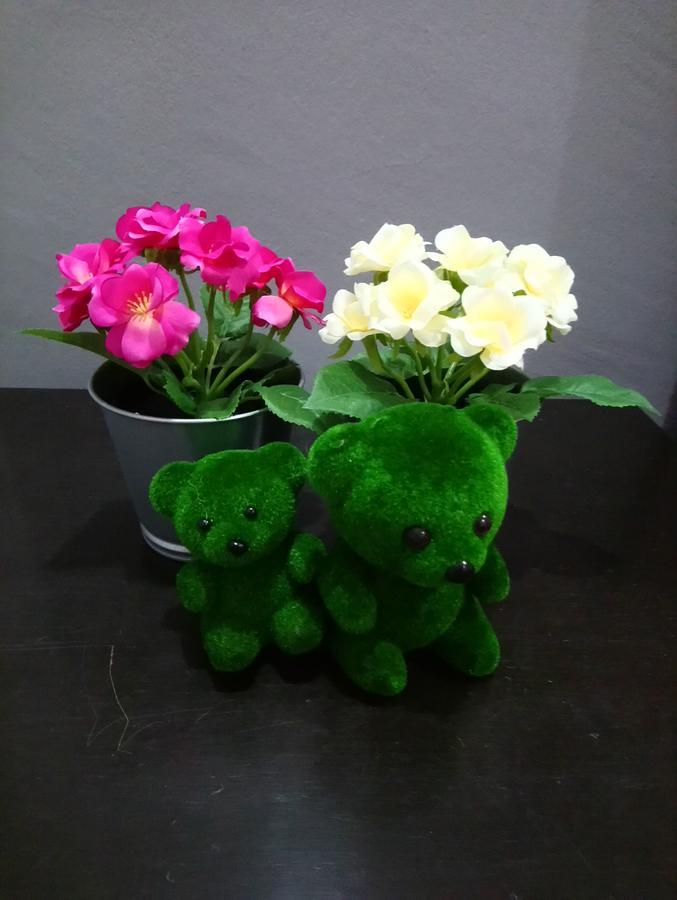 Jb Homestay Bukit Indah Wifi Ciq Mall Legoland Free Parking 新山 外观 照片
