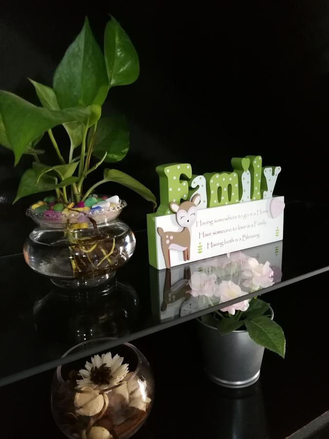 Jb Homestay Bukit Indah Wifi Ciq Mall Legoland Free Parking 新山 外观 照片